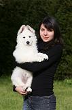 ENFANT ET CHIEN 462